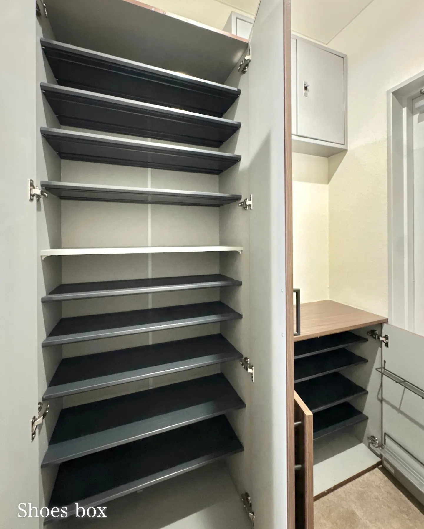 東京湾、お台場を一望できるオーシャンビューが魅力の高級賃貸マ...