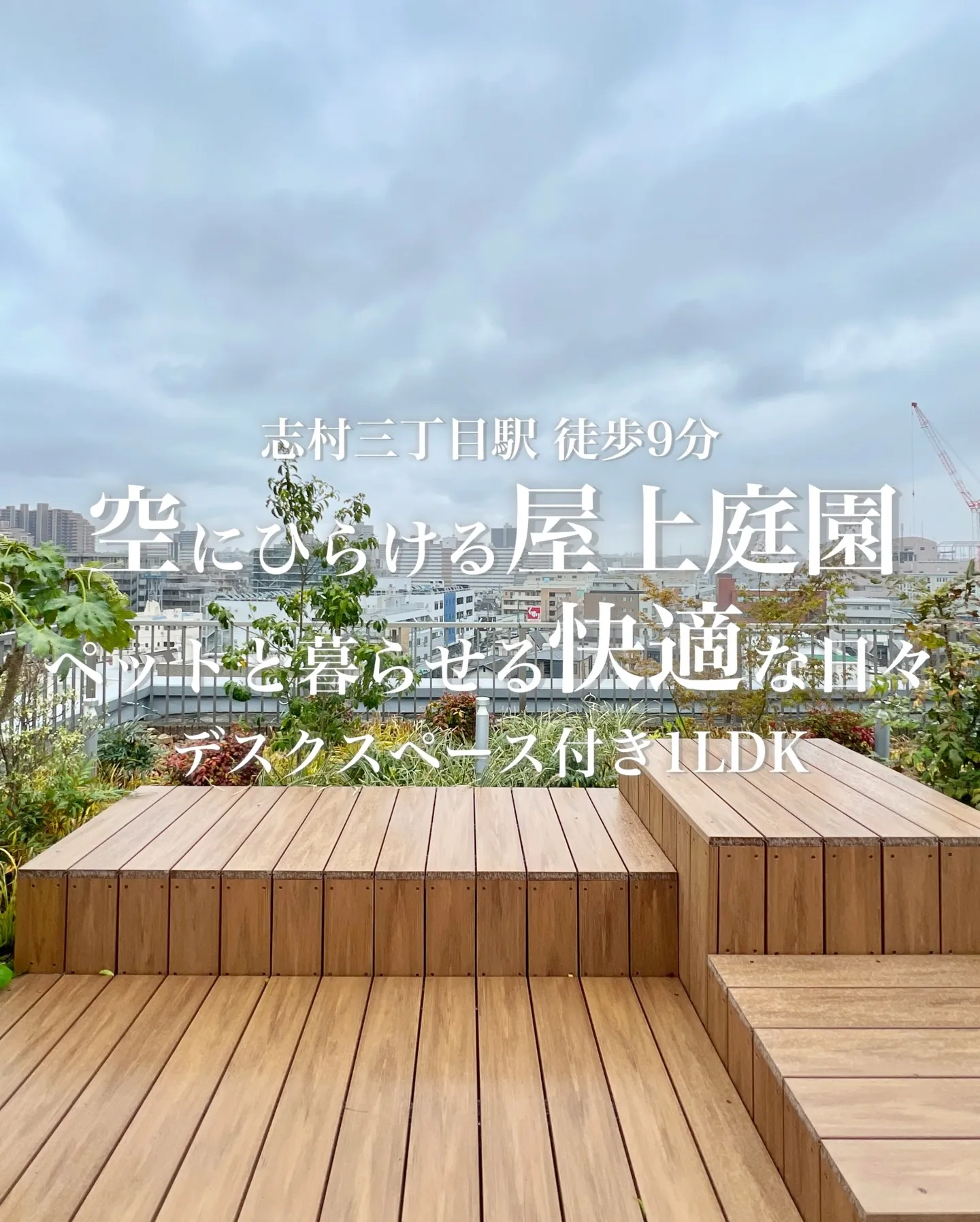 東京都板橋区坂下１丁目に位置し、都営三田線志村三丁目駅や蓮根...