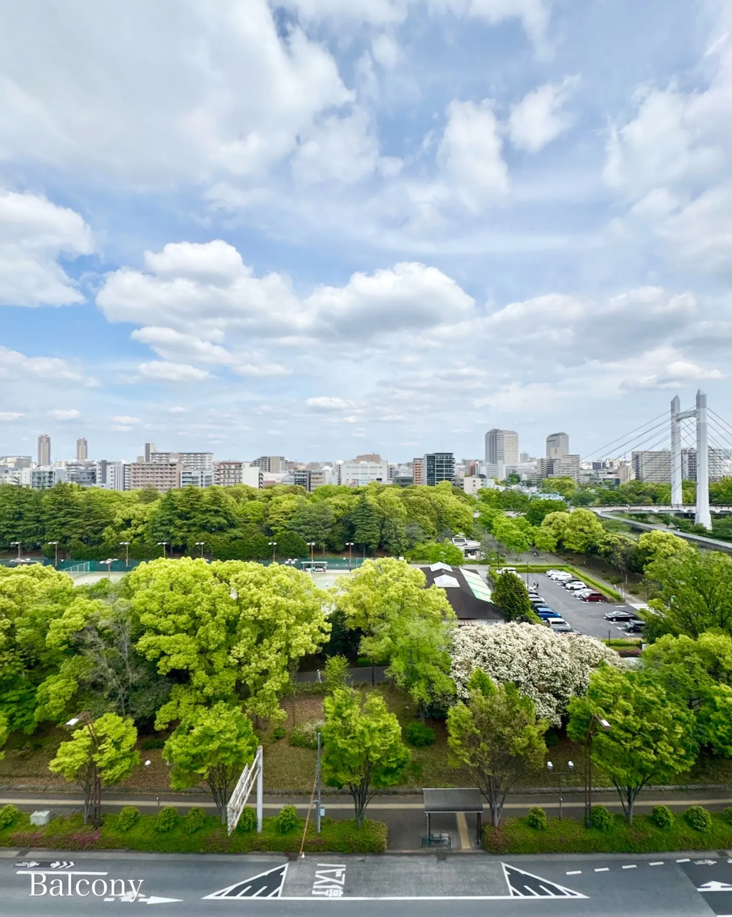 木場駅より徒歩11分、木場公園の豊かな自然を懐に抱く場所に建...