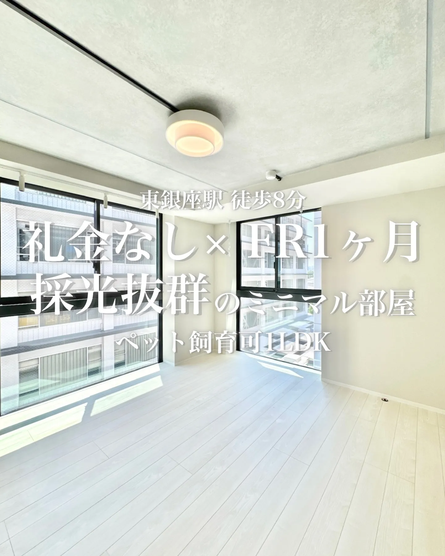 中央区銀座8丁目に位置する高級マンションです。